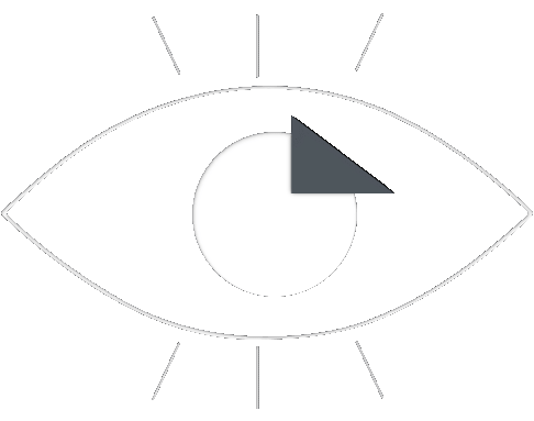 vision